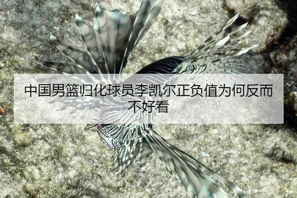 中国男篮归化球员李凯尔正负值为何反而不好看
